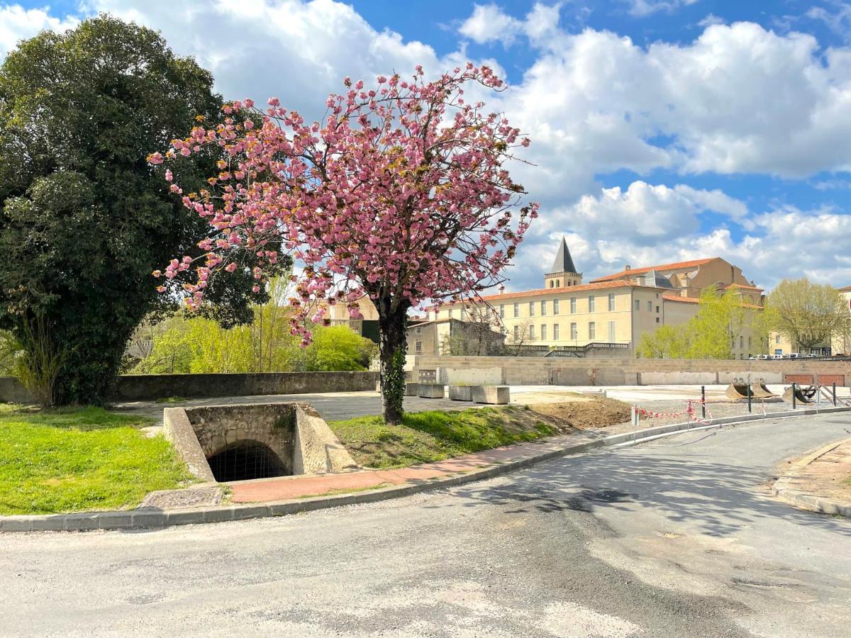 L'intemporel - Grand T2 Climatise, Terrasse Couverte En Hypercentre Appartement Castres (Tarn)