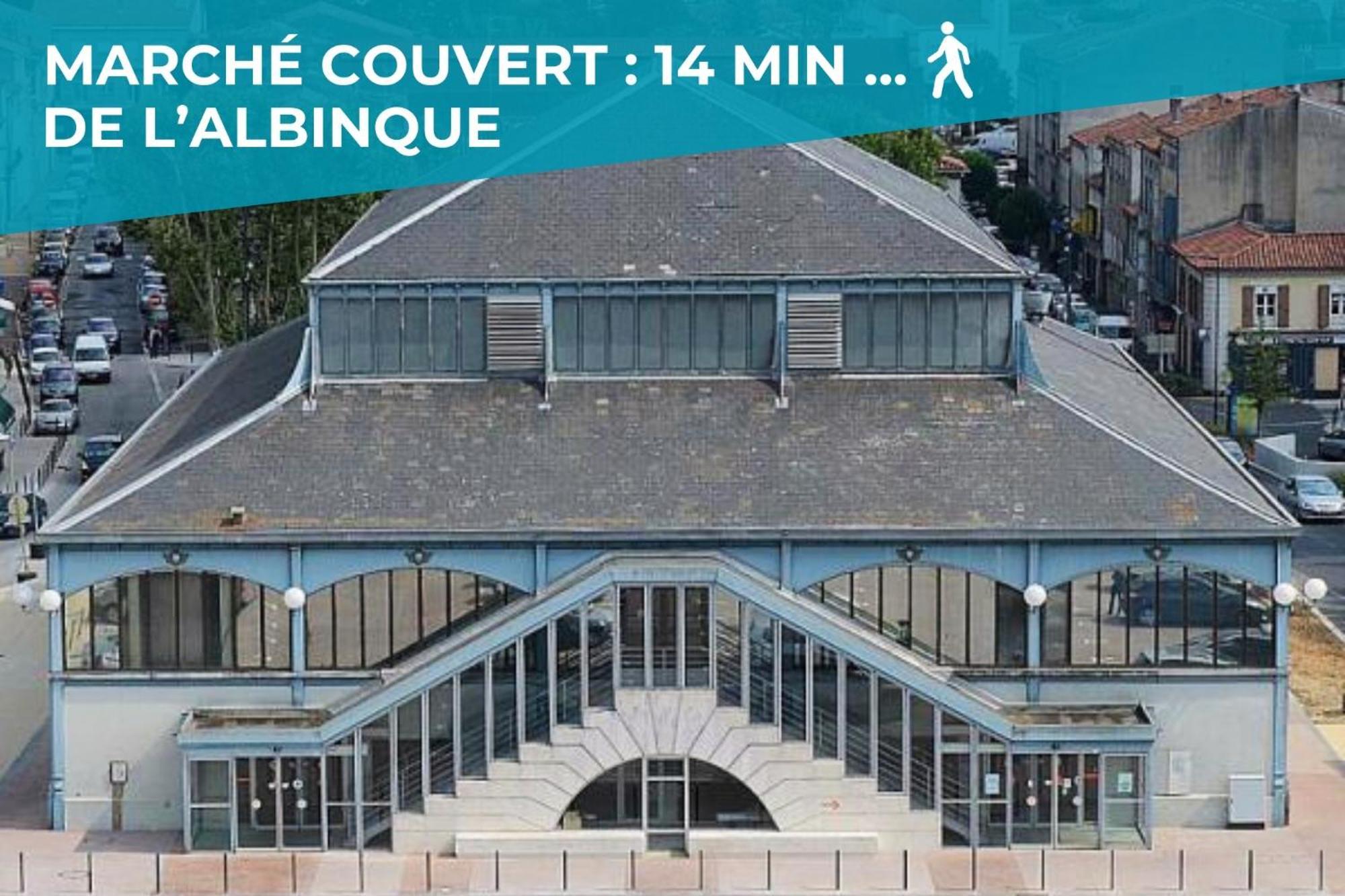 L'intemporel - T2 Terrasse Couverte En Hypercentre Castres (Tarn)
